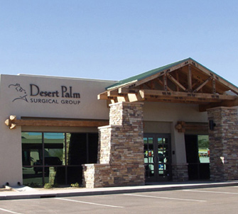 DesertPalm Pic